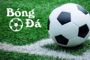 Phân Biệt Bóng Trong Cuộc Và Bóng Ngoài Cuộc Chính Xác Nhất