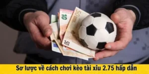Cách Đọc Kèo 2.75 Tại 1Gom Hiệu Quả Cho Người Mới