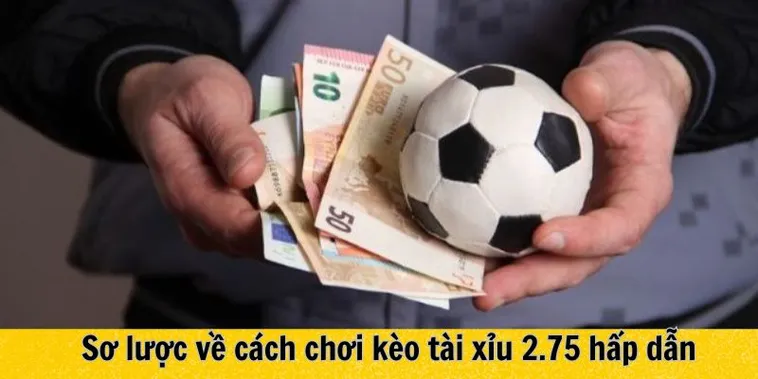 Cách Đọc Kèo 2.75 Tại 1Gom Hiệu Quả Cho Người Mới