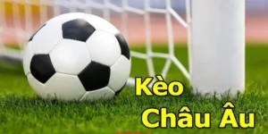 Bí Kíp Đọc Kèo Châu Âu Tại 1Gom Đơn Giản Dành Cho Người Mới Chơi