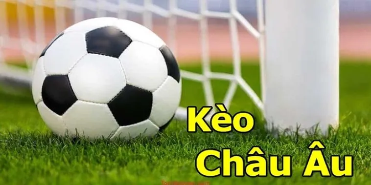 Bí Kíp Đọc Kèo Châu Âu Tại 1Gom Đơn Giản Dành Cho Người Mới Chơi