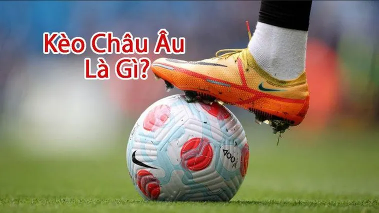 Bí Kíp Đọc Kèo Châu Âu Tại 1Gom Đơn Giản Dành Cho Người Mới Chơi
