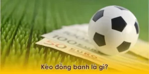 Bí Quyết Đánh Kèo Đồng Banh Tại 1Gom Thắng Lớn Từ Chuyên Gia