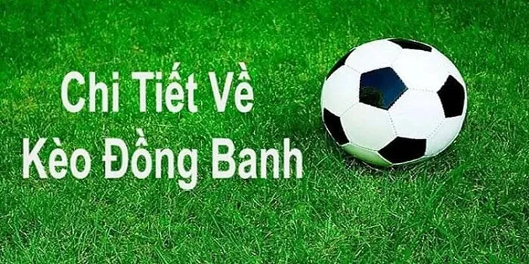 Bí Quyết Đánh Kèo Đồng Banh Tại 1Gom Thắng Lớn Từ Chuyên Gia