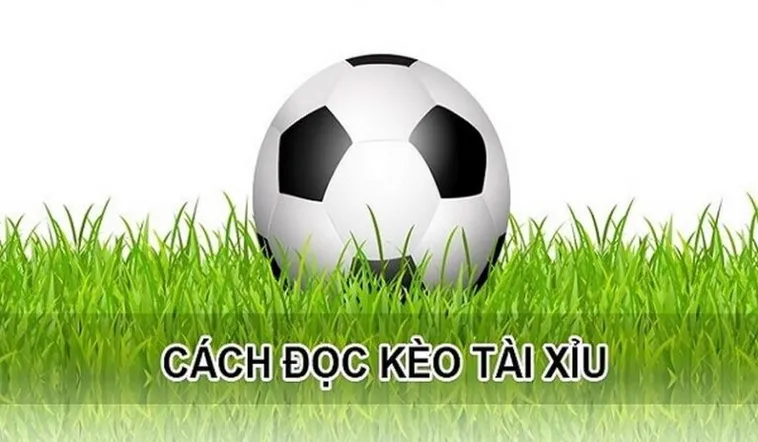 Phương Pháp Soi Kèo Tài Xỉu Hiệp 1 Tại 1Gom Hiệu Quả Nhất