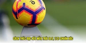 Phân Tích Kèo Chấp 0.5 Tại 1Gom Và Cách Đánh Chắc Thắng