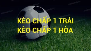 Chuyên Gia Hướng Dẫn Soi Kèo Chấp 1 Tại 1Gom Chi Tiết