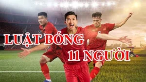 Quy Chuẩn Về Luật Sân Bóng Đá Thi Đấu Chuyên Nghiệp